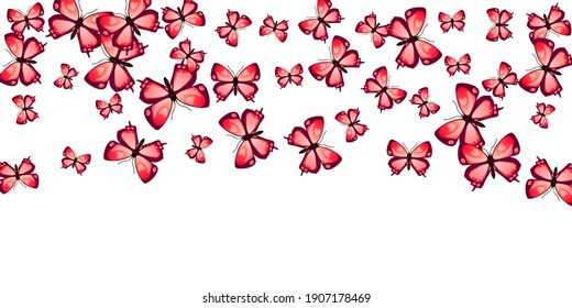 Tropical red butterflies cartoon vector background. Summer beautiful moths. Simple butterflies cartoon girly illustration. Sensitive wings insects graphic design. Garden beings.
