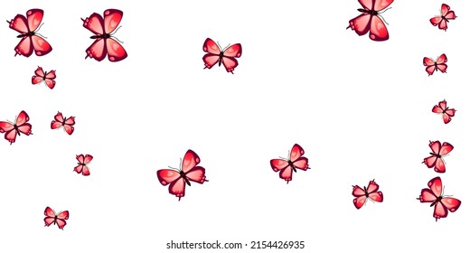Tropical red butterflies isolated vector wallpaper. Summer pretty insects. Detailed butterflies isolated fantasy illustration. Delicate wings moths patten. Tropical beings.
