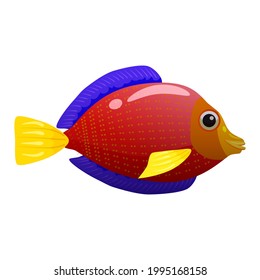 Tropical red fish, coral reef exotic pet animal. Aquarium sea life, vector illustartion cartoon style