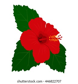 Tropical red hibiscus flower. Vector illustration.