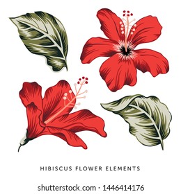 Tropical red hibiscus flowers, green leaves, isolated elements, white background. Vector illustration clip art. Summer beach floral design 