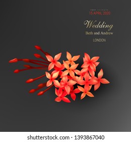 Tropical red ixora flowers on black background vector illustration Beautiful botanical isolated element design, tropic jungle rainforest plant with scarlet buds, exotic flora frame, golden inscription