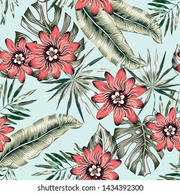 Tropical red passion flowers, monstera, banana palm leaves, blue background. Vector seamless pattern. Jungle foliage illustration. Exotic plants. Summer beach floral design. Paradise nature