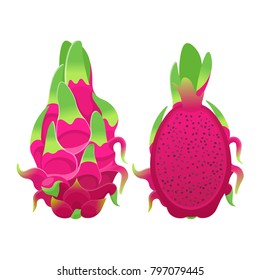 Tropical red pitaya or dragon fruit, isolated on white.Vector illustration.