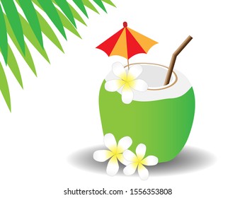 Tropical refreshment cocktail, fresh  coconut fruit decorated with umbrella hut and frangipani flower. Isolated on white background. Vector Illustration. Idea for summer vacation and welcome drink.