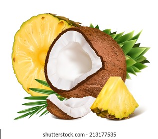 Tropical ripe fresh pineapples and coconuts with leaf. Vector illustration.