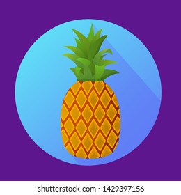 Tropical ripe pineapple fruit blue background in a circle.Concept for shopping. Vector flat style pineapple icon.