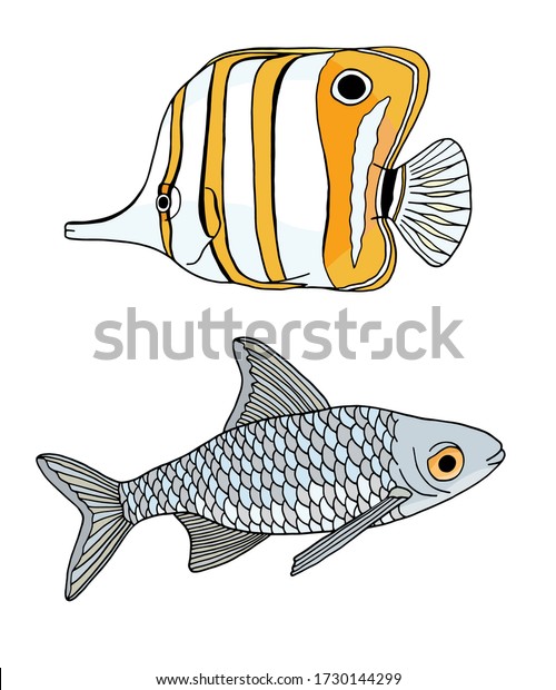 Tropical and river fish. Copperband Butterflyfish\
and common carp. Vector Chelmon rostratus fish. Hand drawn yellow\
beaked coralfish and carpio isolated on white background for kids,\
logo, design