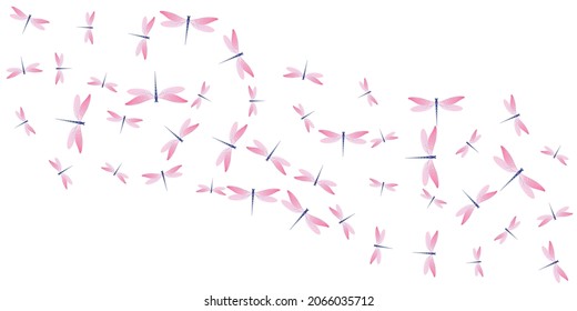 Tropical rosy pink dragonfly isolated vector illustration. Spring pretty damselflies. Detailed dragonfly isolated girly background. Tender wings insects patten. Nature beings