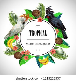 Tropical round composition. Bright colorful vector template. The cockatoos surrounded by tropical fruits and flowers.