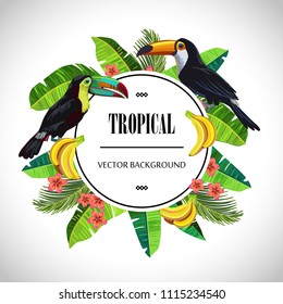 Tropical round composition. Bright colorful vector template. The toucans surrounded by tropical fruits and flowers.