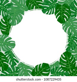 A tropical round white frame with green monstera leaves. Vector.