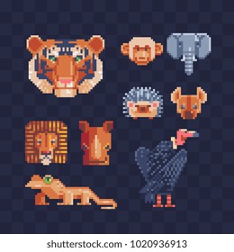 Tropical safari ianimal heads hedgehog, elephant, tiger, lion, lizard, behemoth, vulture and monkey isolated pixel vector illustration icons set. Design stickers, logo, embroidery, mobile app. 8-bit