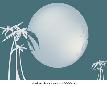Tropical scene at night