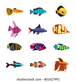 Tropical, sea, aquarium fish set isolated on white background.  Flat style vector illustration.