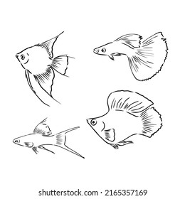 32,155 Fish swimming sketch Images, Stock Photos & Vectors | Shutterstock