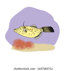 Tropical sea fish isolated on a light background. Cartoon technique. Vector illustration. Suitable for textiles, design of children's rooms, t-shirts, etc.