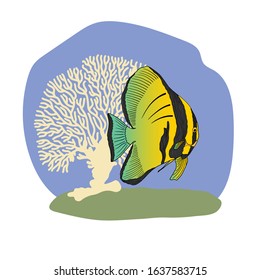 Tropical sea fish isolated on a light background. Cartoon technique. Vector illustration. Suitable for textiles, design of children's rooms, t-shirts, etc.
