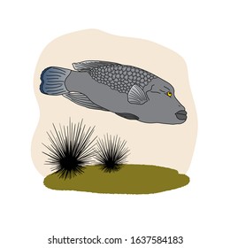 Tropical sea fish isolated on a light background. Cartoon technique. Vector illustration. Suitable for textiles, design of children's rooms, t-shirts, etc.