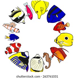 Tropical sea fishes in circle