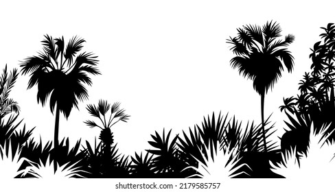 Tropical sea island Jungle with palm trees. Black silhouettes and contours on white background. Vector