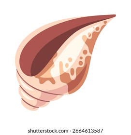Tropical sea shell decorative design
