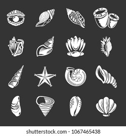 Tropical sea shell icons set vector white isolated on grey background 