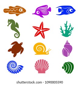 Tropical sea shell icons set vector  on white background