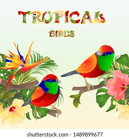 Tropical  seamless border  tropical birds Euplectes and tropical flowers  pink and yellow hibiscus and Strelitzia palm,philodendron and ficus vintage vector illustration  editable hand draw 