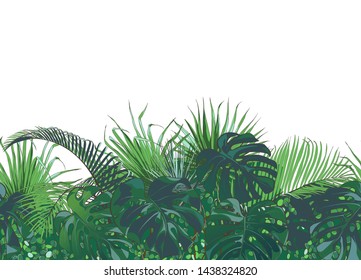 Tropical seamless border leaves foliage plant bush floral arrangement nature backdrop isolated on white background. Vector watercolor realistic illustration