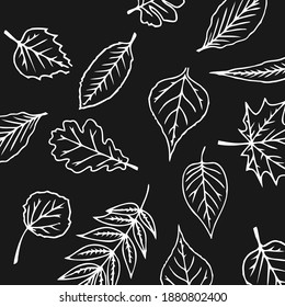 Las hojas tropicales sin soldadura patrón fondo negro. Ilustración del vector