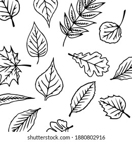 Tropical seamless leaves pattern white background. Vector illustration