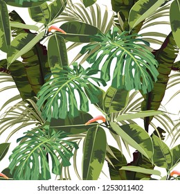 Tropical seamless pattern background with bright palm monstera leaves, ficus,  jungle leaf. White background.