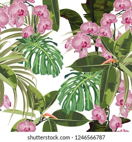 Tropical seamless pattern background with exotic pink orchid flowers, palm monstera leaves, jungle leaf. White background.