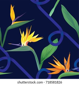 Tropical seamless pattern with bird of paradise flowers and leaf on dark blue background. Vector set of exotic tropical garden for wedding invitations, greeting card and fashion design.