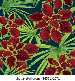 Tropical seamless pattern of coleus leaves with palm leaf background. Vector set of exotic tropical garden for holiday invitations, greeting card and fashion design.