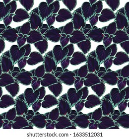 Tropical seamless pattern of coleus leaves background. vector greeting card and textile fashion design