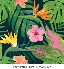 Patrón inconsútil tropical de la flor colorida del pájaro del paraíso con la hoja de la monstruosa y el fondo del hibiscis. Conjunto de Vector tropical exótico para invitaciones de vacaciones, tarjeta de felicitación y diseño de moda