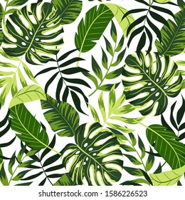 Tropical seamless pattern with colorful plants. Floral seamless vector tropical pattern background with exotic leaves, jungle leaf. Exotic wallpaper, Hawaiian style. Seamless vector texture.