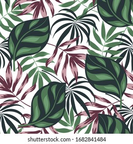 Patrón tropical sin fisuras con plantas coloridas. Floral sin fisuras de fondo tropical vectorial con hojas exóticas, hoja de selva. Papel pintado exótico de estilo hawaiano. Textura vectorial sin inconvenientes.