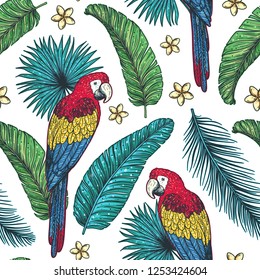 Tropical seamless pattern. Tropical design template. Parrot and palm leaves vector illustration.  Summer design.