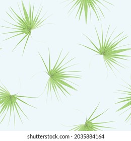 Tropical seamless pattern with exotic fan palm leaves. Blue background.