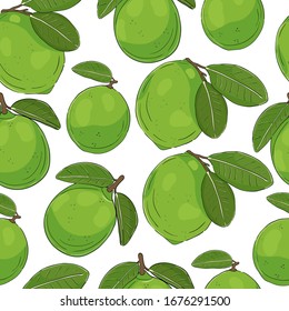 Tropical seamless pattern. Exotic hand drawn lime fruit background. Print for fabric, wallpaper, cover, wrap.