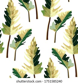 Tropical seamless pattern with exotic home plant leaves. White background.