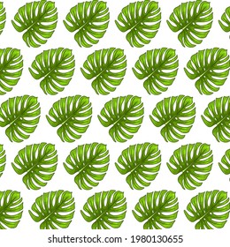 Tropical seamless pattern with exotic leaves in cartoon style. Bright summer print for design and background.