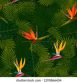 Tropical seamless pattern of flowers bird of Paradise (strelitzia) on the background of palm leaves. Exotic illustration of jungle plants.