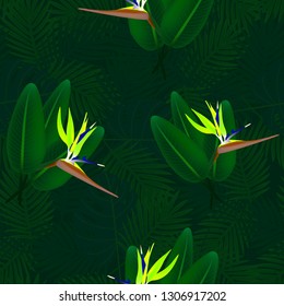 Tropical seamless pattern of flowers bird of Paradise (strelitzia) on the background of palm leaves. Exotic illustration of jungle plants.