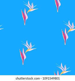 Tropical seamless pattern with flowers of strelitzia on a blue background