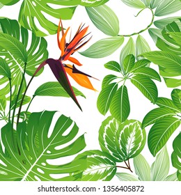 Tropisches nahtloses Muster mit Blumen strelitzia. Grüner Sommerhintergrund mit exotischen Blättern von Monstera, Kalathea.