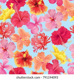 Tropical seamless pattern hibiscus flowers on white background template. Vector set of blooming tropical floral for wedding invitations and greeting card design.